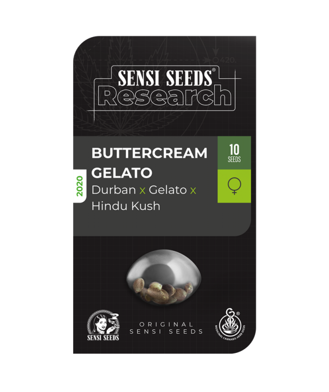 buttercream gelato sensi seeds fotodependiente