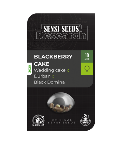 blackberry cake sensi seeds fotodependiente