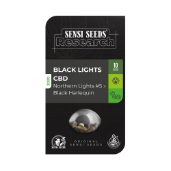 black lights cbd  sensi seeds autofloreciente