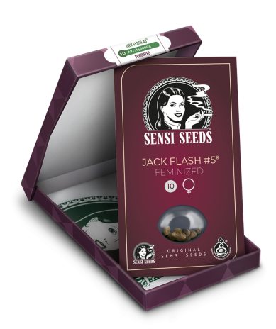 jack flash 5 sensi seeds fotodependiente