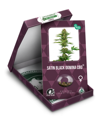 satin black domina cbd sensi seeds fotodependiente