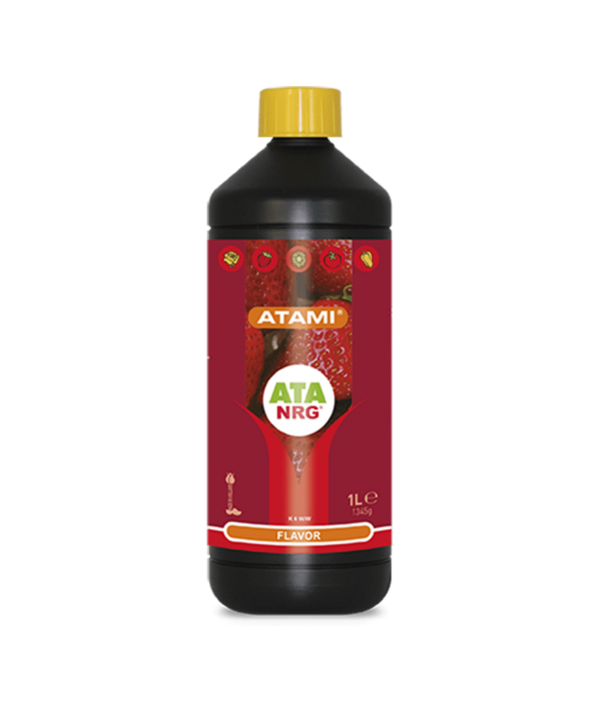 Organics Flavor Atami 1 litro