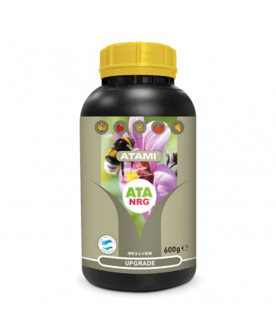 Upgrade ATA NRG Atami