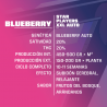 Características Blueberry XXL Auto BSF Seeds