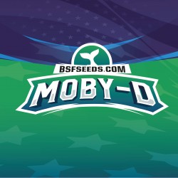 BSF Seeds Moby-D XXL Auto
