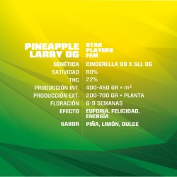 Características Pineapple Larry OG BSF Seeds