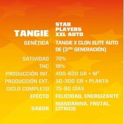 Características Tangie Auto XXL BSF Seeds