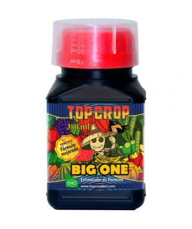 Big One Top Crop estimulador de floración orgánico 250ml