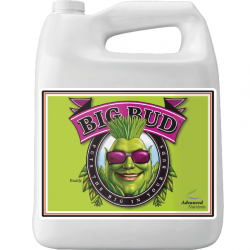 Big Bud Liquid Advanced Nutrients 4 litros