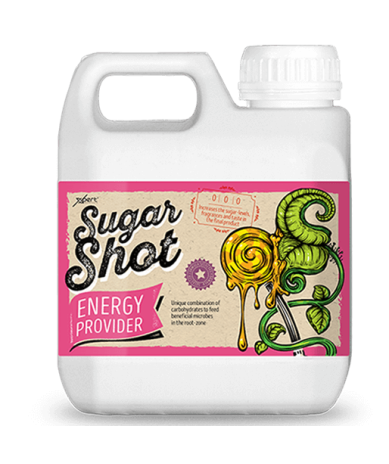 Sugar Shot 1 litro Xpert Nutrients (azúcares)