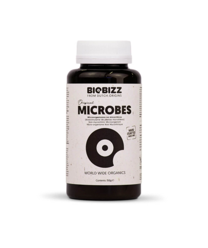 Microbes Biobizz (microorganismos, enzimas y hongos)