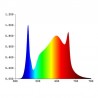 Espectro Led Destructhor 720w