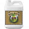Big Bud Coco Advanced Nutrients 250ml potenciador de floración para cultivos de coco