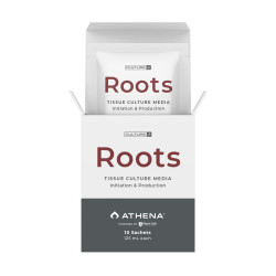 Roots Culture Media Athena