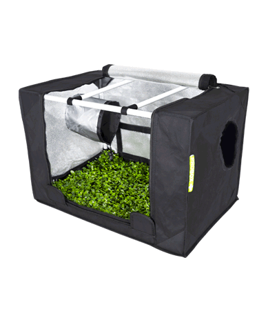 Armario propagador Probox S Garden HighPro para esquejes y semilleros