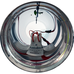 Interior Clivex Ozoduct 150mm 5000mg/h V.2 generador de ozono tubular para cultivo indoor