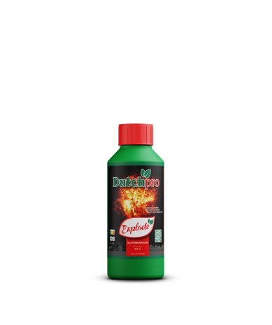 Explode Dutch Pro estimulador de floración 250ml