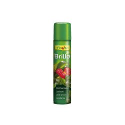 Brillo Planta Natural Hipoalergénico Flower para hojas de plantas