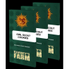 Semillas Girl Scout Cookies feminizadas de Barney's Farm