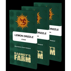 Semillas Lemon Drizzle feminizadas de Barney's Farm