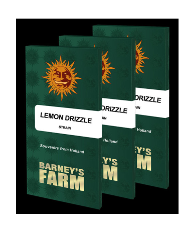 Semillas Lemon Drizzle feminizadas de Barney's Farm