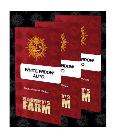Semillas White Widow Auto autoflorecientes de Barney's Farm