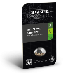 Semillas Research Sensi Nº743 CBD CBDs de Sensi Seed