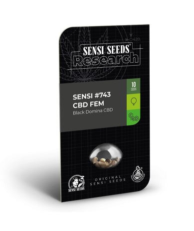 Semillas Research Sensi Nº743 CBD CBDs de Sensi Seed