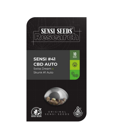 Semillas research Sensi Nº41 CBD Auto CBDs de Sensi Seed