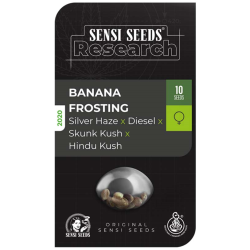 Semillas Banana Frosting feminizadas de Sensi Seed