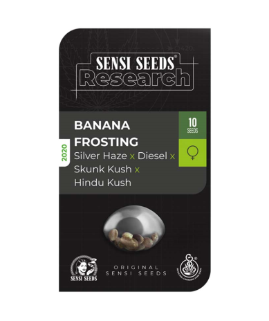 Semillas Banana Frosting feminizadas de Sensi Seed