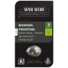 Semillas Banana Frosting feminizadas de Sensi Seed