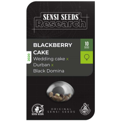 Semillas Blackberry Cake feminizadas de Sensi Seed