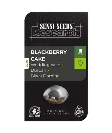 Semillas Blackberry Cake feminizadas de Sensi Seed