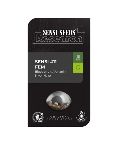 Semillas Research Sensi Nº11 feminizadas de Sensi Seed
