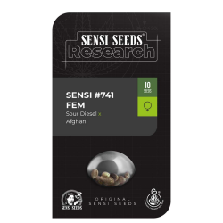 Semillas Research Sensi Nº741 feminizadas de Sensi Seed