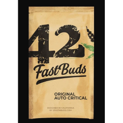 Semillas Critical Auto autoflorecientes de FastBuds Seeds