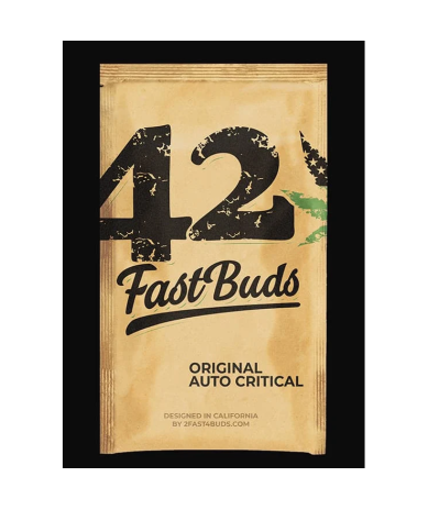 Semillas Critical Auto autoflorecientes de FastBuds Seeds