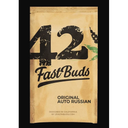 Semillas Russian Auto autoflorecientes de FastBuds Seeds