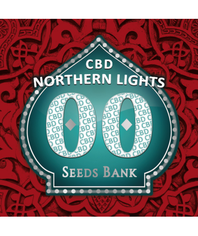Semillas Northern Lights CBD CBDs de 00 Seeds