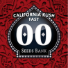 Semillas California Kush Fast feminizadas de 00 Seeds