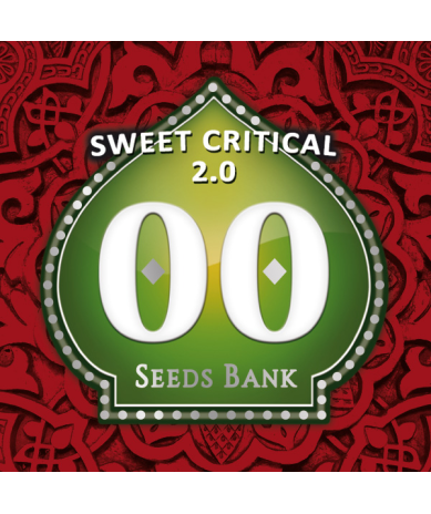 Semillas Sweet Critical 2.0 feminizadas de 00 Seeds