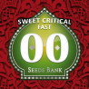Semillas Sweet Critical Fast feminizadas de 00 Seeds