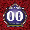 Semillas Purple Punch feminizadas de 00 Seeds