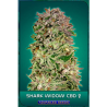 Semillas Shark Widow CBD CBDs de Advanced Seeds