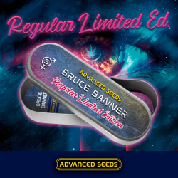 Semillas Bruce Banner feminizadas de Advanced Seeds