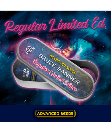 Semillas Bruce Banner feminizadas de Advanced Seeds