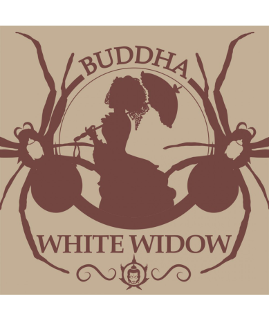 Semillas Classic White Widow feminizadas de Buddha Seeds