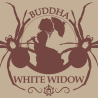 Semillas Classic White Widow feminizadas de Buddha Seeds