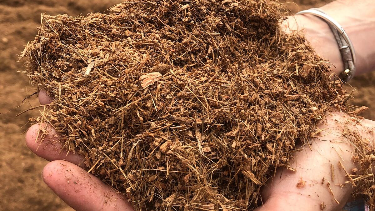 fibra de coco